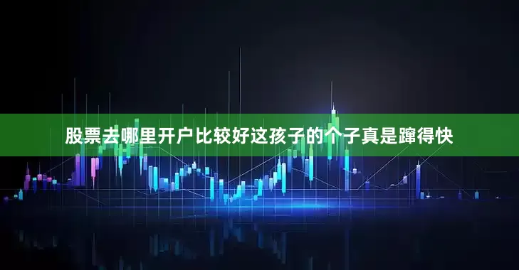 股票去哪里开户比较好这孩子的个子真是蹿得快