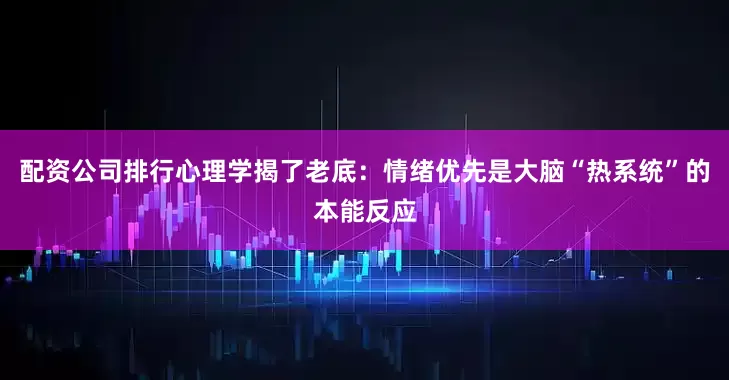 配资公司排行心理学揭了老底：情绪优先是大脑“热系统”的本能反应
