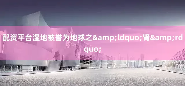 配资平台湿地被誉为地球之&ldquo;肾&rdquo;