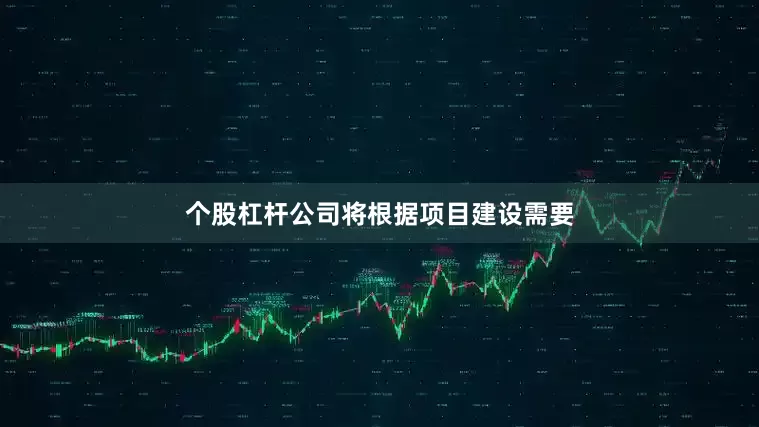个股杠杆公司将根据项目建设需要