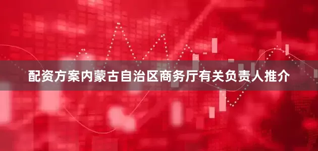 配资方案内蒙古自治区商务厅有关负责人推介