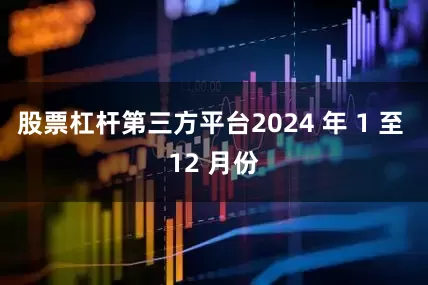 股票杠杆第三方平台2024 年 1 至 12 月份