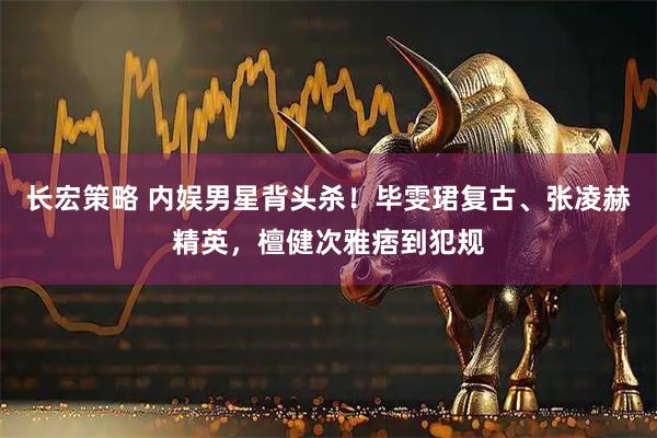 长宏策略 内娱男星背头杀！毕雯珺复古、张凌赫精英，檀健次雅痞到犯规