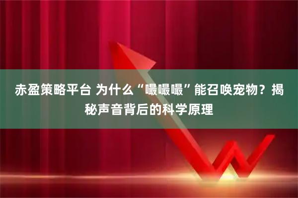 赤盈策略平台 为什么“嘬嘬嘬”能召唤宠物？揭秘声音背后的科学原理