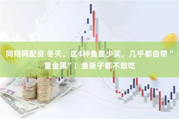 同翔网配资 冬天，这4种鱼要少买，几乎都自带“重金属”！鱼贩子都不敢吃