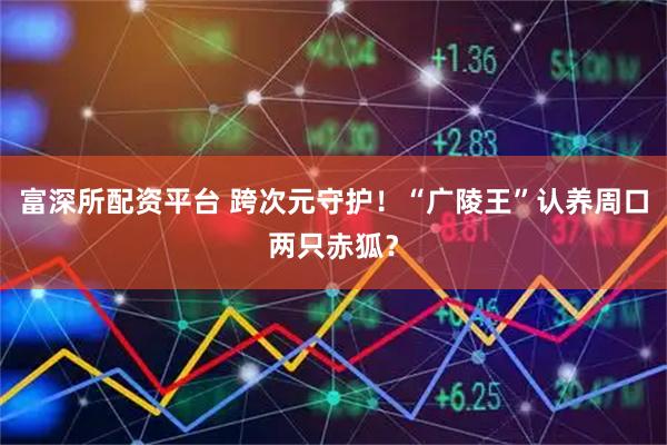 富深所配资平台 跨次元守护！“广陵王”认养周口两只赤狐？
